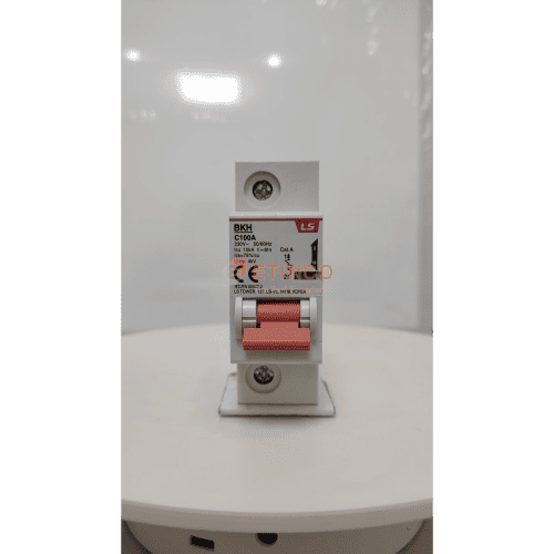 MCB LS BKH 1P 100A 10kA