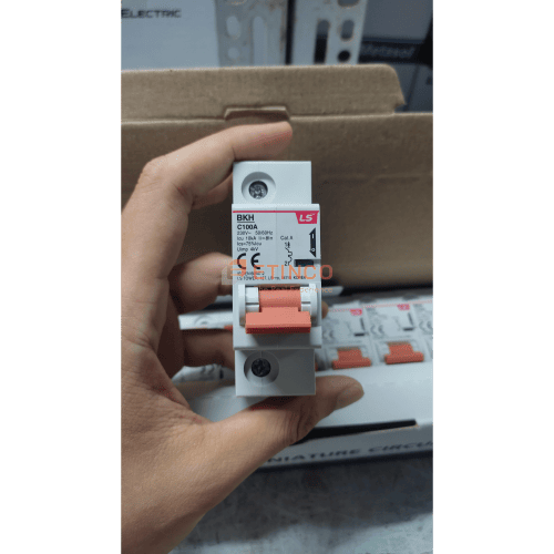MCB LS BKH 1P 100A 10kA