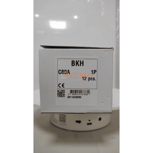 MCB LS BKH 1P 80A 10kA