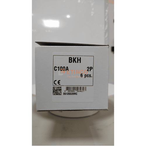 MCB LS BKH 2P 100A 10kA