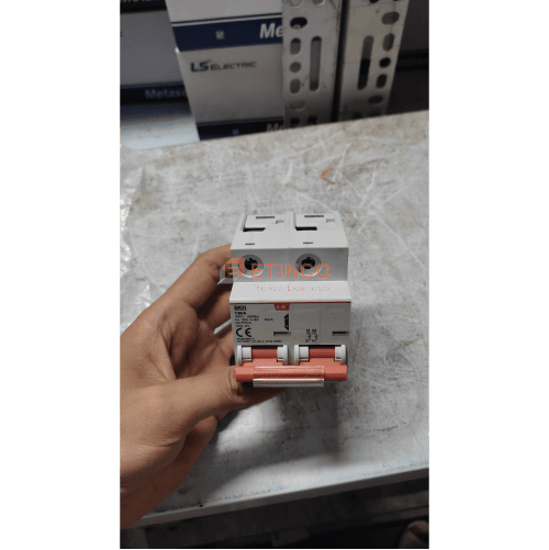 MCB LS BKH 2P 80A 10kA