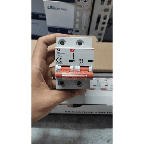 MCB LS BKH 2P 80A 10kA