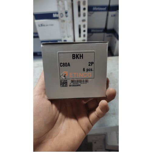 MCB LS BKH 2P 80A 10kA