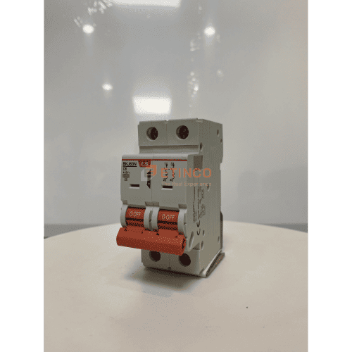 MCB LS BKJ63N 2P 6A 6kA