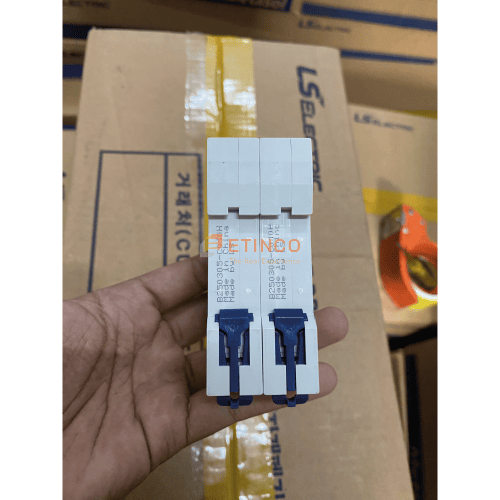 MCB LS LA63H 2P 10A 10kA