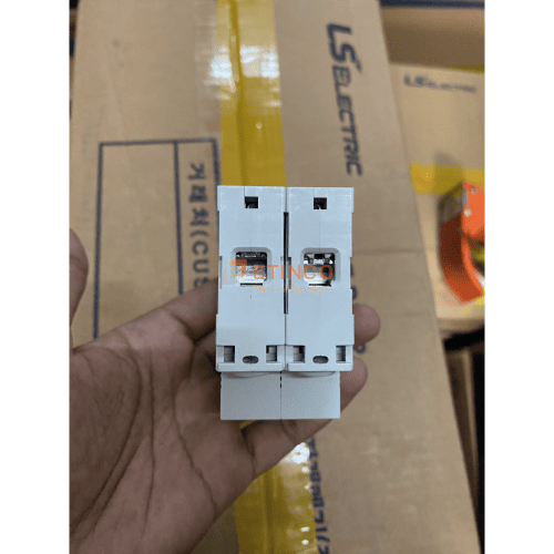 MCB LS LA63H 2P 10A 10kA