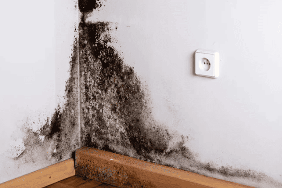 tuong-nom-am-gay-ro-dien