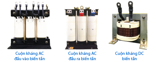 cuon khang cho bien tan la gi