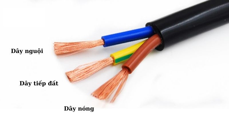 cau tao day dien 3 loi