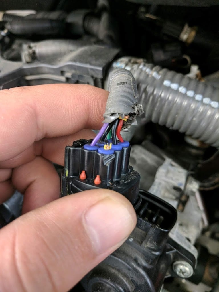 chuot can day dien 2