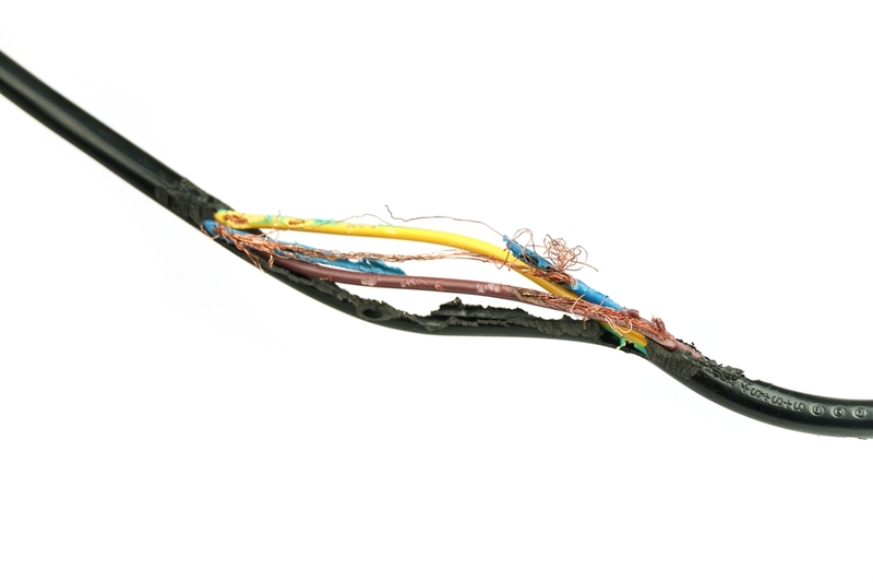 chuot can day dien 4