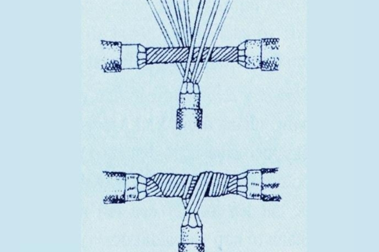 moi noi phan nhanh 1 loi nhieu soi